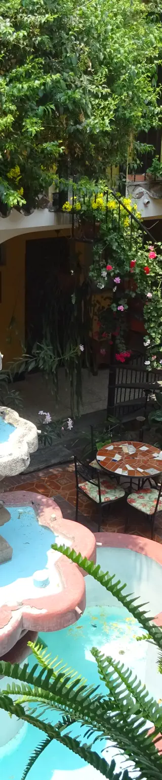 Mit Einzelunterricht effizienter die Sprache lernen